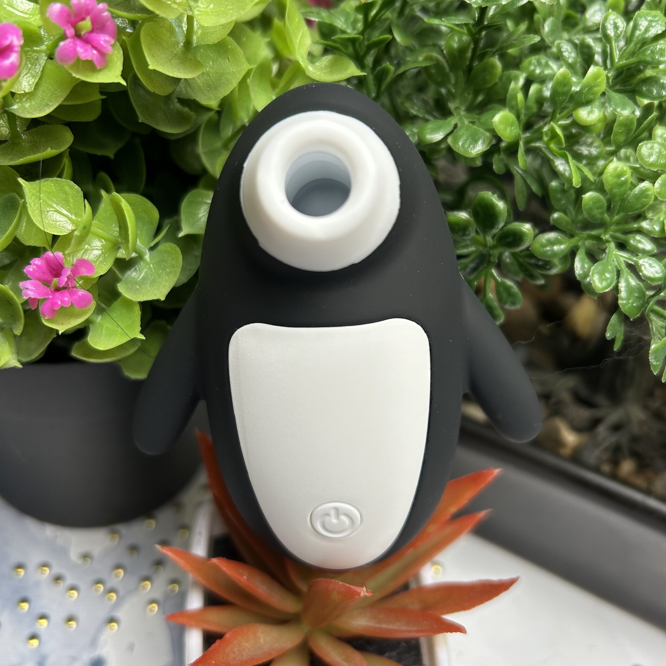 Pingüi (succionador de clítoris)