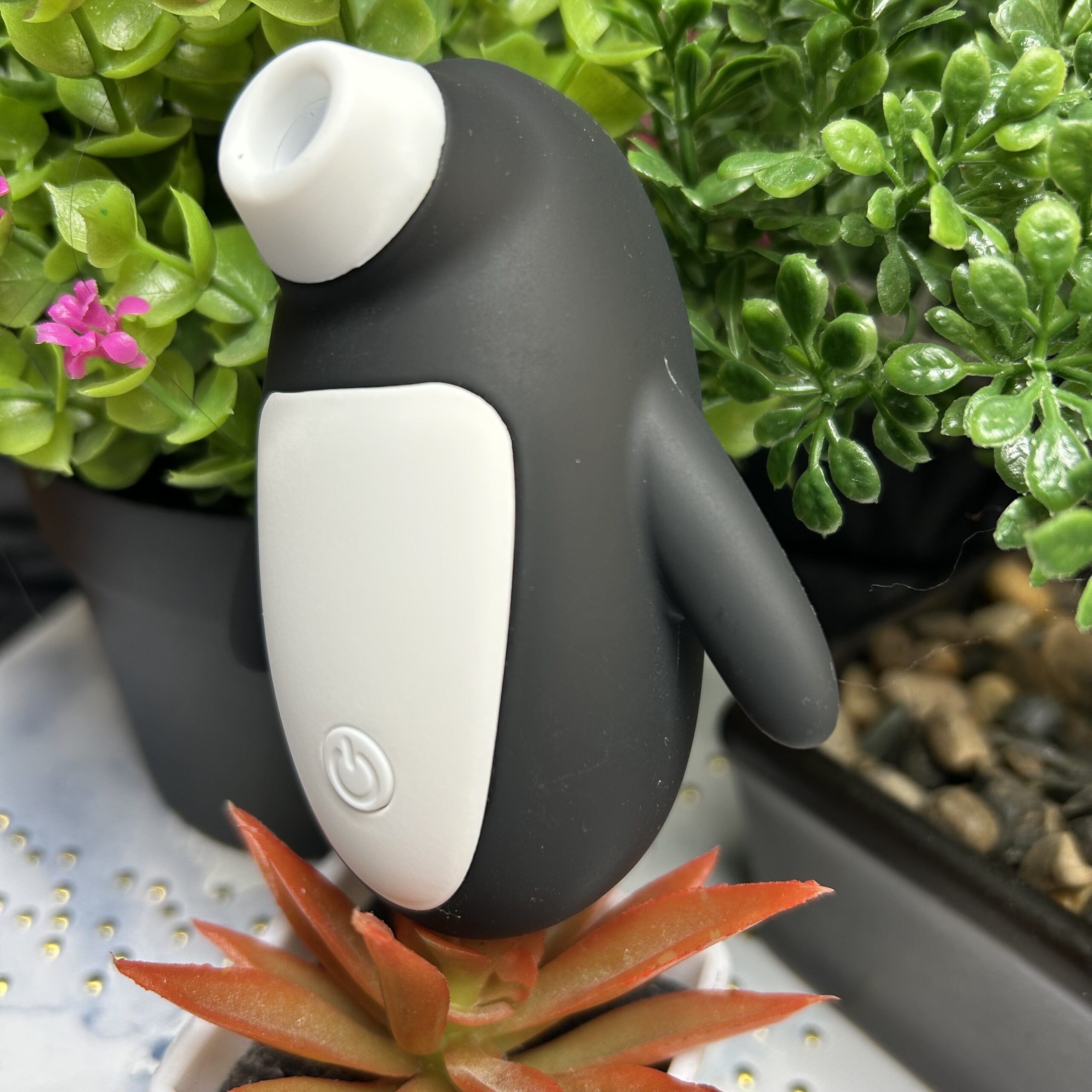 Pingüi (succionador de clítoris) - Image 2